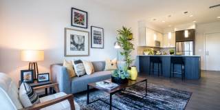 Bell Uptown District Bell Uptown District Gallery 4