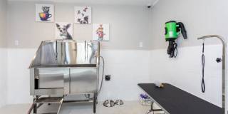 Cary Pines Apartments Gallery 24