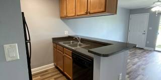 1/1 in the Heart of Brandon with a lake view! Gallery 9