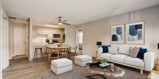 Pecan Creek Gallery 1