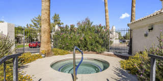 2100 W LEMON TREE Place Gallery 23