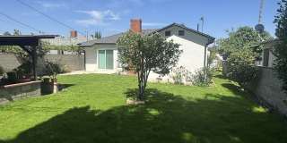 6239 Cleon Avenue Gallery 6