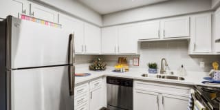 Allanza at the Lakes Gallery 37