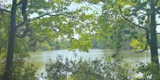 2126 Kimball Circle Gallery 37