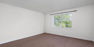 1003 E Brow Road Gallery 27