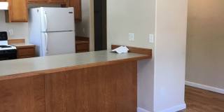 4 Bedroom 2 Bathroom House - Close to MSU Campus Gallery 26