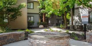 The Woods Gallery 11