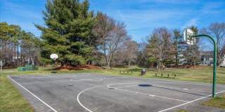 13116 NESTLEWOOD CT Gallery 49