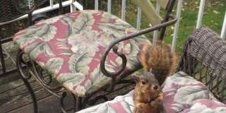 Lakeside at Walnut Hills Gallery 33