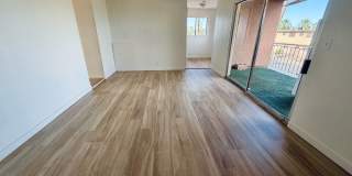 537 KOLSON CIR Gallery 3