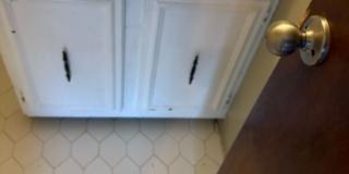 3385 Barbwood Dr 3385 Barbwood Dr Gallery 61