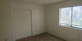 3 Bedroom Condo Gallery 7