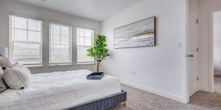 Hamilton Crossing Gallery 5