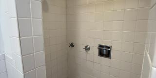 New King Edward Gallery 958