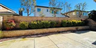 31919 Bitterroot Court Gallery 58