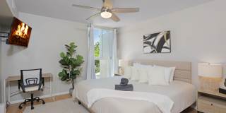 3054 Rue Dorleans Gallery 3