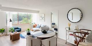 The Magnolia Gallery 21