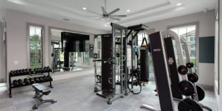 Atlantic Palms at Tradition Gallery 5