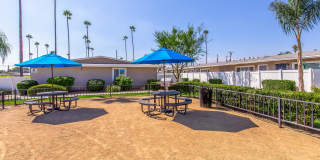 Las Brisas Gallery 5