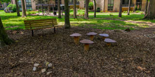 Franklin Park at Greenbelt Station Gallery 13