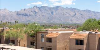 Kachina Springs Gallery 7