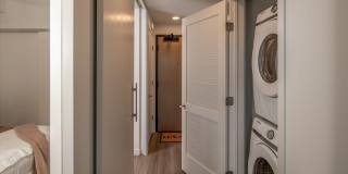 Rowyn Gallery 37