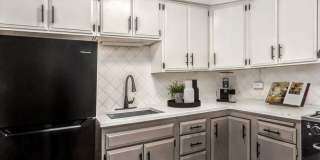 ReNew on Temple ReNew on Temple Gallery 6