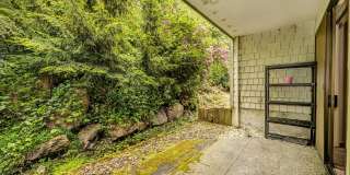 Lake Ballinger Townhouse 3 Bedroom Lake Ballinger Townhouse 3 Bedroom Gallery 10
