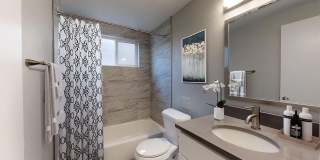 Shenandoah Apartments Gallery 14