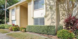 Silver Palms Gallery 24