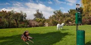 Windsor Aviara Gallery 27