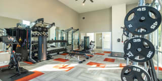 Axio 8400 Gallery 25