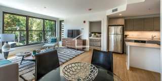 Sunny, Modern Allston 2-Bed/2-Bath Steps from Packard's Corner! Gallery 5