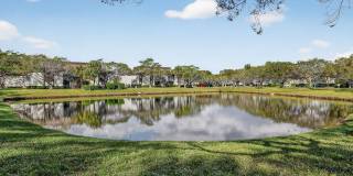 Advenir at Banyan Lake Gallery 22