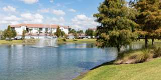 Citra at Windermere Gallery 51