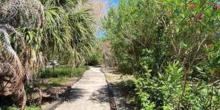 8759 Live Oak Court Gallery 29