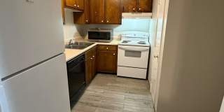 370 Wallace Road - D13 Gallery 6