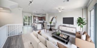 Midtown Delray Gallery 32
