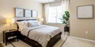 IMT Cherry Creek Gallery 10