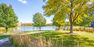 Williams Reserve Gallery 10