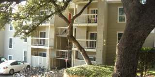 Hyde Park Oaks 206 - 1 Bed 1 Bath Gallery 1
