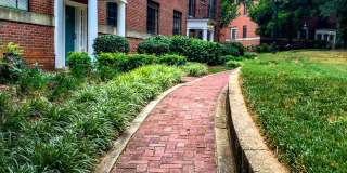 Shelton Apartments Gallery 30