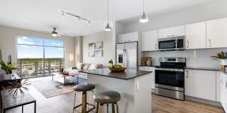 Motion at Dadeland Gallery 44