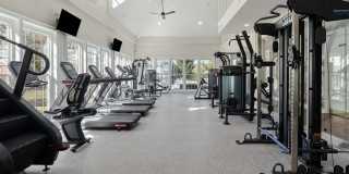 The Orchard Gallery 25