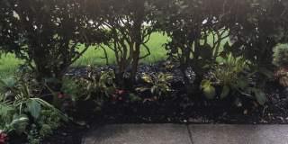 14609 GOVERNOR SPRIGG Place Gallery 26