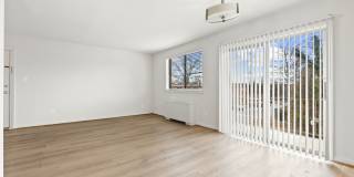 International Apartments Gallery 11