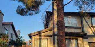 109 Gooseberry Lane Gallery 1