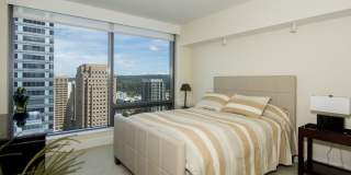 650 Bellevue Way NE Gallery 15