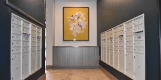 The Knox Apartments Gallery 16