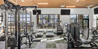 Amavida Marana Gallery 29